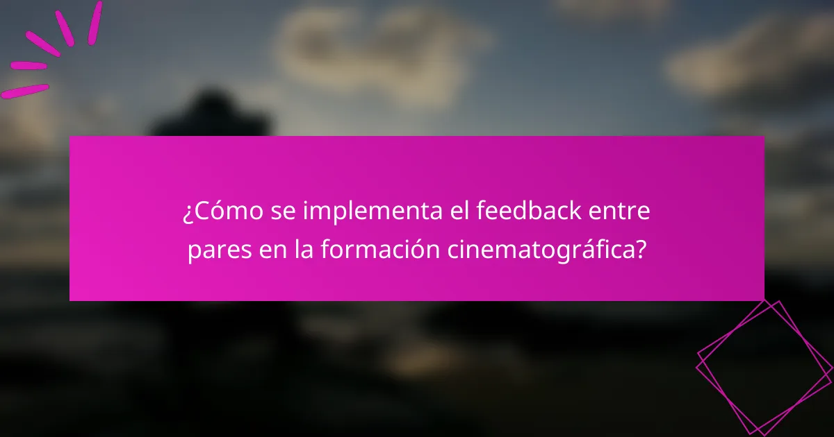 ¿Cómo se implementa el feedback entre pares en la formación cinematográfica?