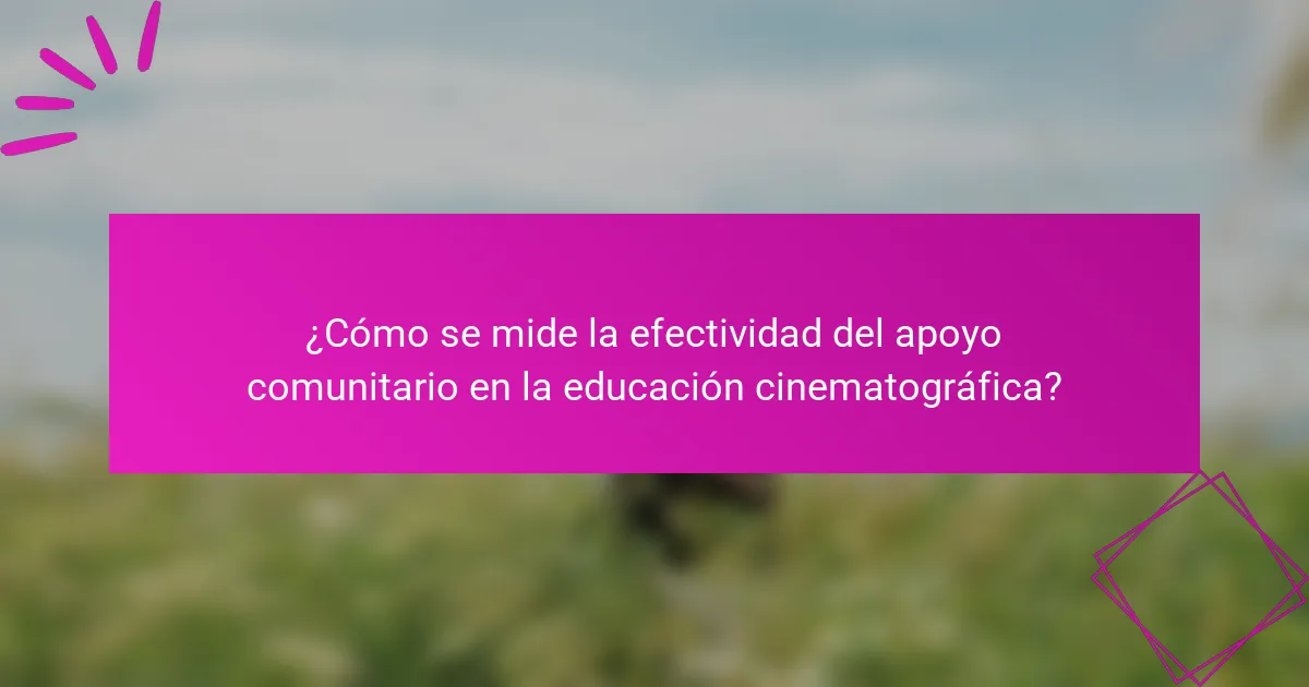 ¿Cómo se mide la efectividad del apoyo comunitario en la educación cinematográfica?