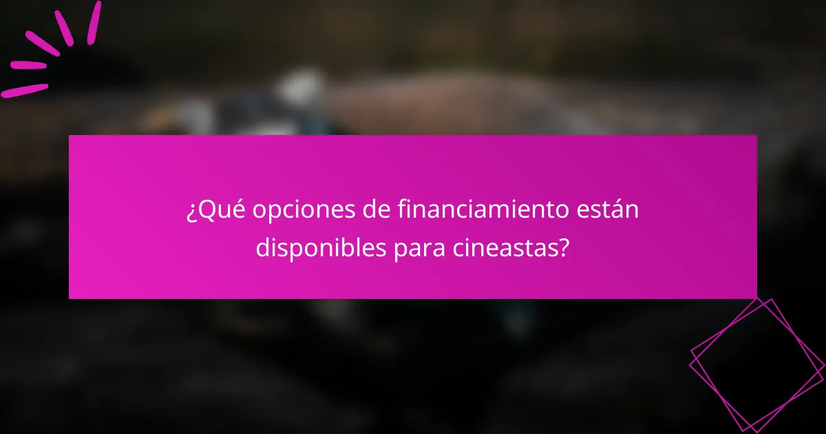 ¿Qué opciones de financiamiento están disponibles para cineastas?