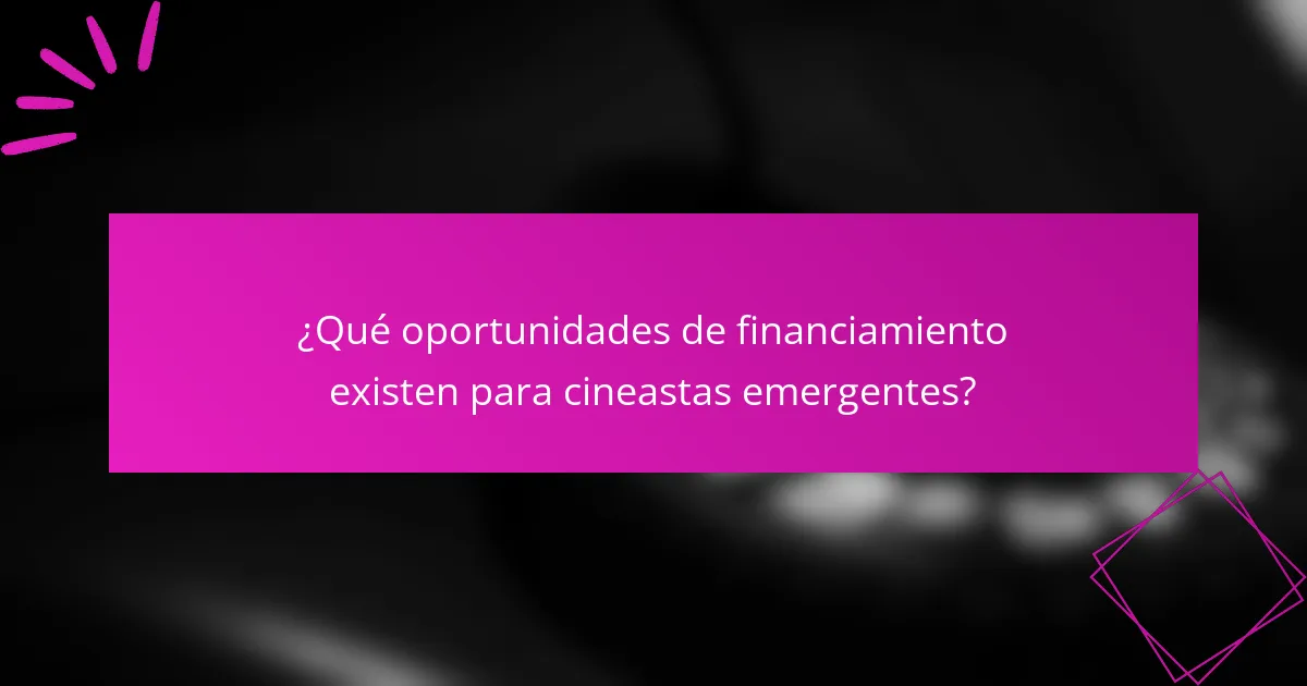 ¿Qué oportunidades de financiamiento existen para cineastas emergentes?