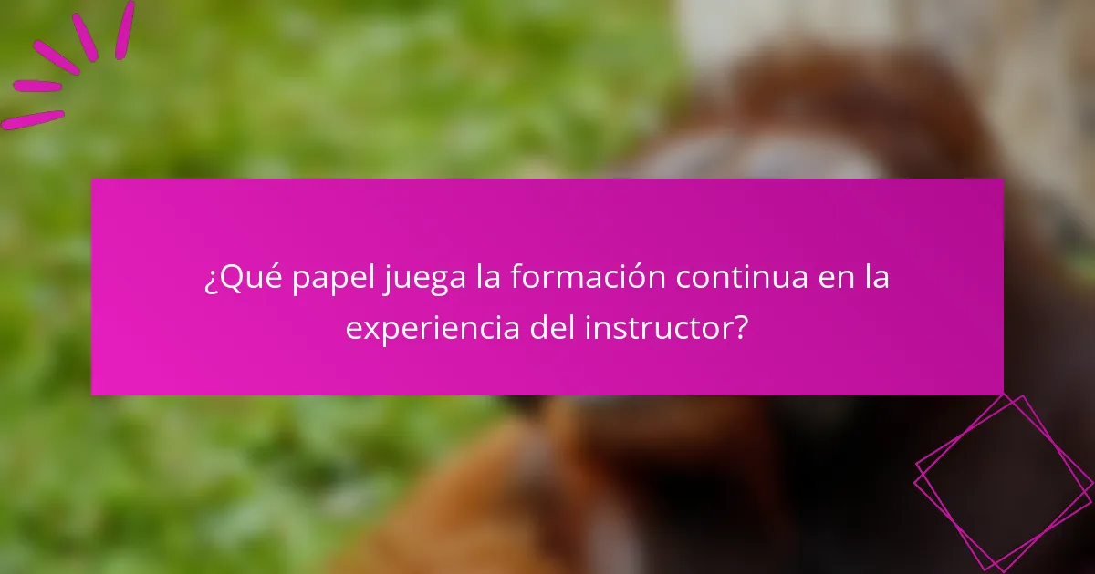 ¿Qué papel juega la formación continua en la experiencia del instructor?