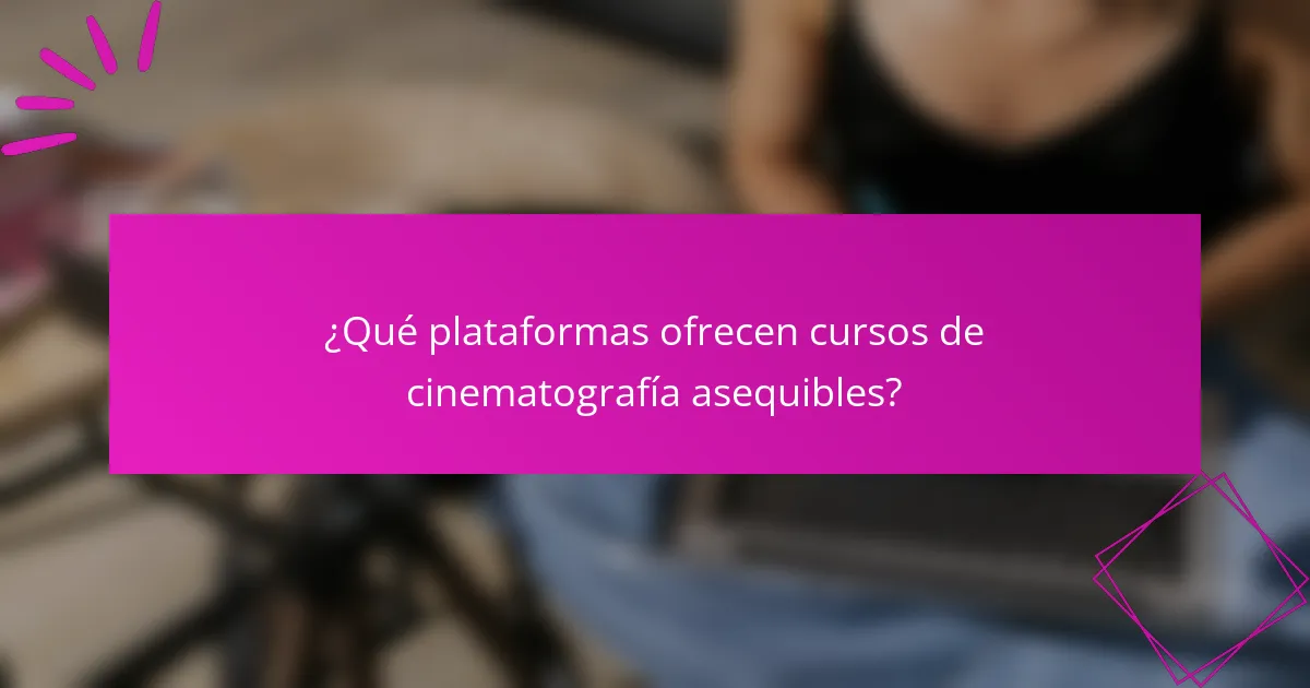 ¿Qué plataformas ofrecen cursos de cinematografía asequibles?